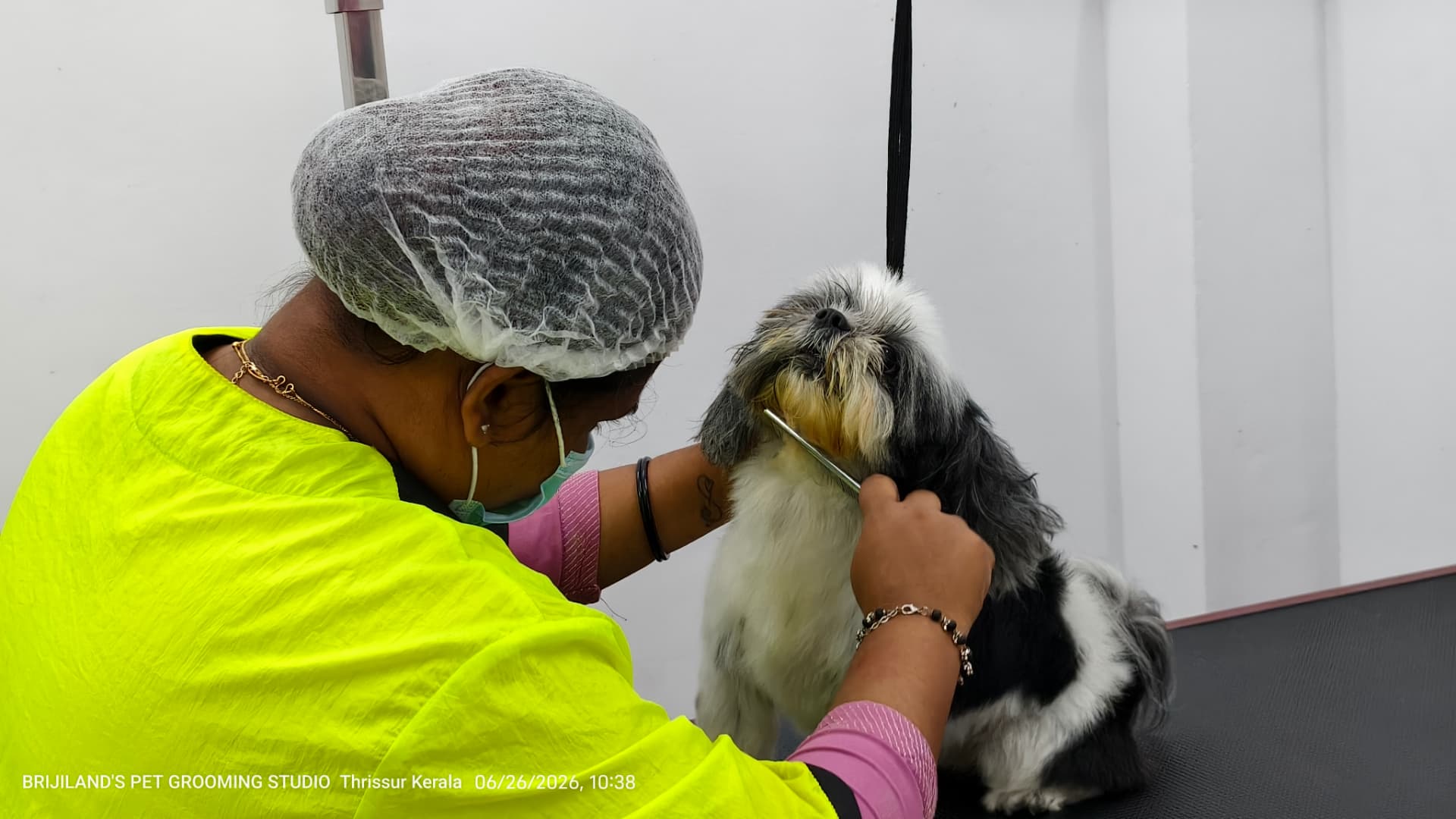 Brijilands groomer carefully combing a shih tzu at the studio in Kannapuram, Thrissur