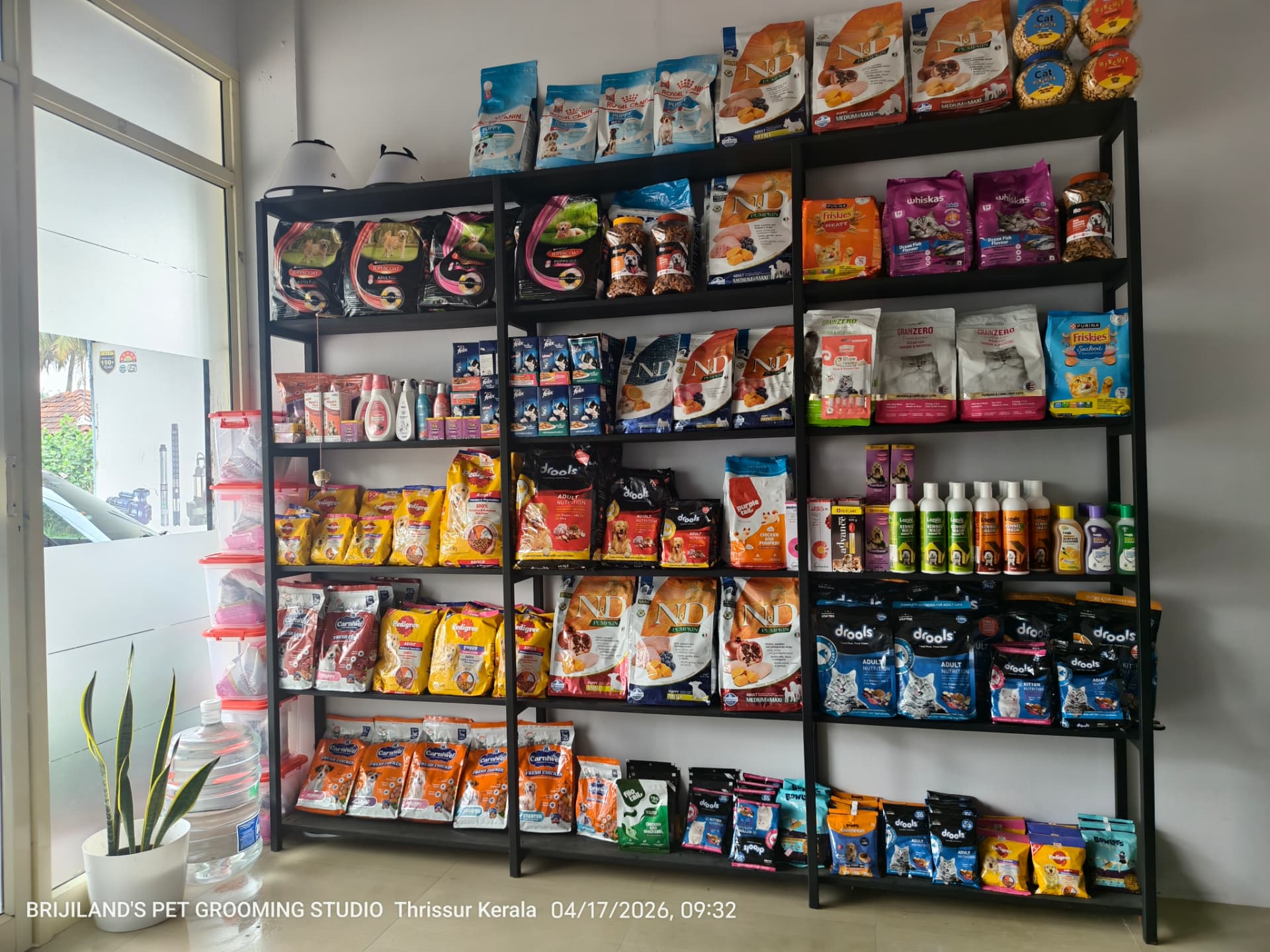 Pet food, shampoos and accessories on the shelves inside Brijilands studio